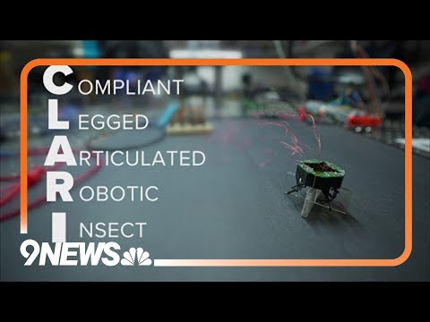 CLARI (Compliant Legged Articulated Robotic Insect) Review Video 3
