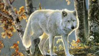 Paul Weller Live - Shadow Of The Sun + HOWL FOR THE WOLVES - Stop The Slaughter And The Idiots