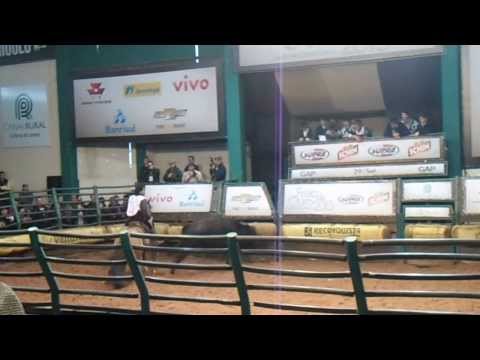 FREIO DE OURO 2013 ORACA DO ITAPORORO PROVA DA MANGUEIRA