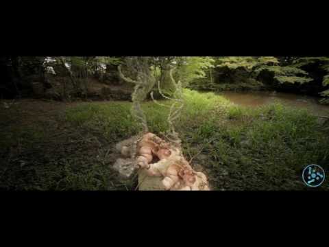 Gayalaxy - Deep Space Borealis [AstroPilot Music]