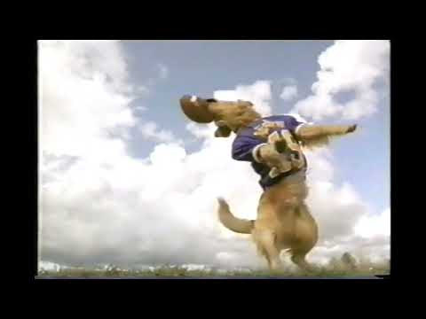 Air Bud Golden Receiver Movie Trailer Version 2 Commercial 1998