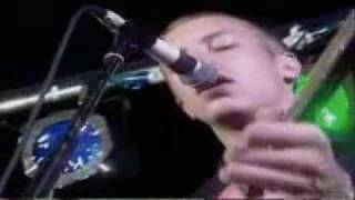 Barfly Sessions 2000