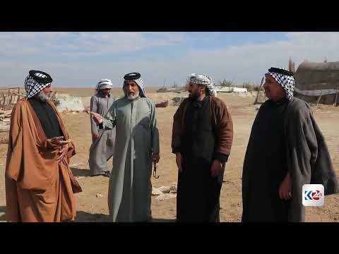 فَلّاحو ذي قار يواجهون واقِعًا صَعبًا، بَعدَ تَقليصُ مَساحاتِ الخُطَّةِ الزِّراعيَّةِ الشِّتويَّة 