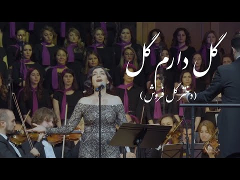 Gôl Dâràm Gôl - گل دارم گل (Arash Fouladvand feat Darya Dadvar)