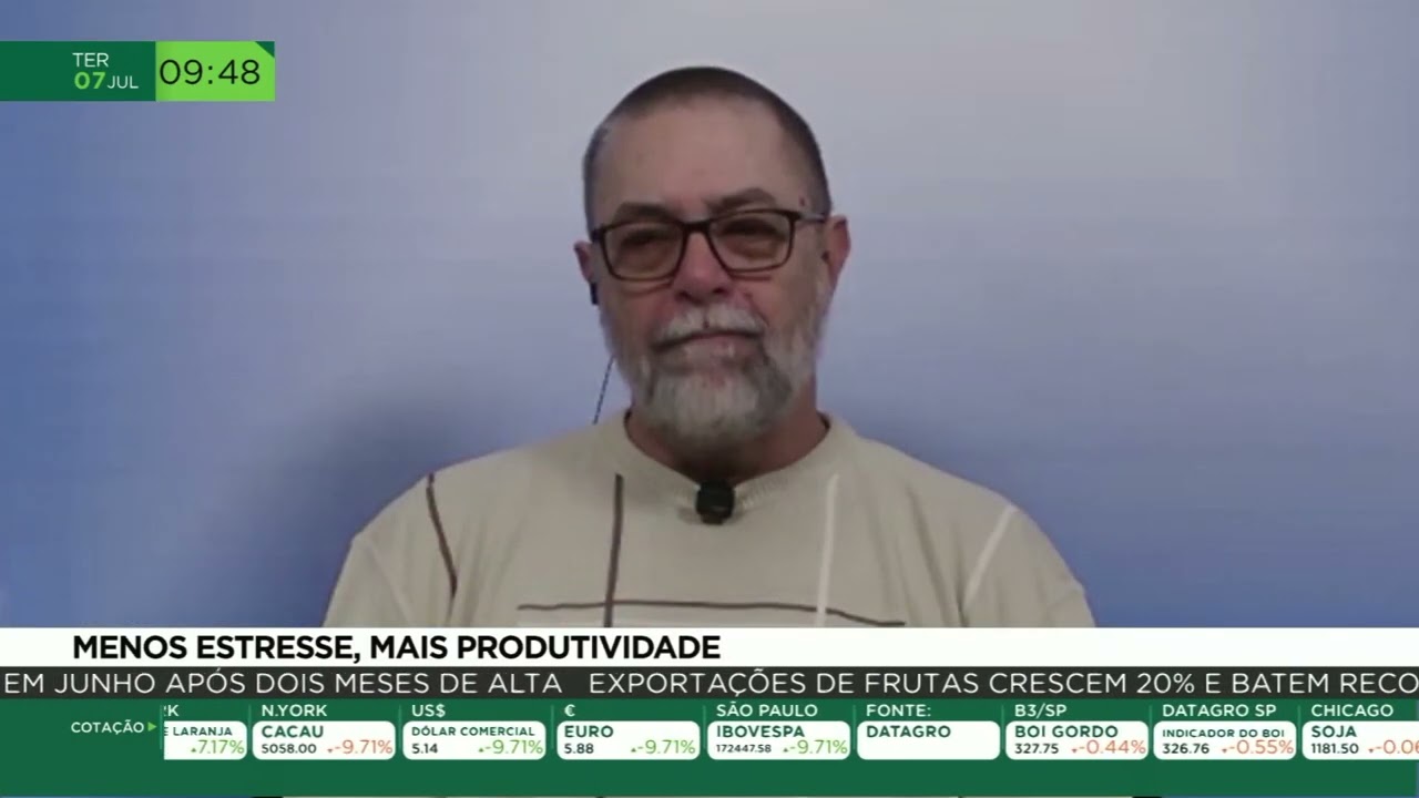 Bem-estar das vacas aumenta produtividade na pecuária leiteira