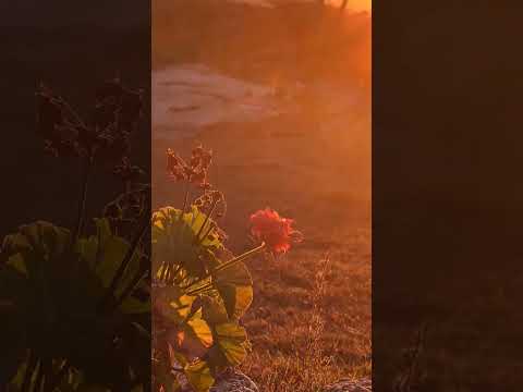 vacaciones mina clavero cordoba WhatsApp 11 5 105 4226