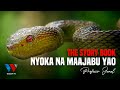 The Story Book NYOKA Na Mambo Yao Ya Ajabu Documentary Unknown Facts About Snakes