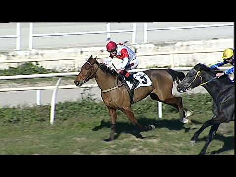 Napoli Galoppo 14/02/2023 - 1ª corsa