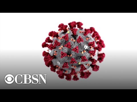 ライブで見てください。コロナウイルス対策本部がプレスブリーフィングを開催 (Watch live: Coronavirus task force holds press briefing)