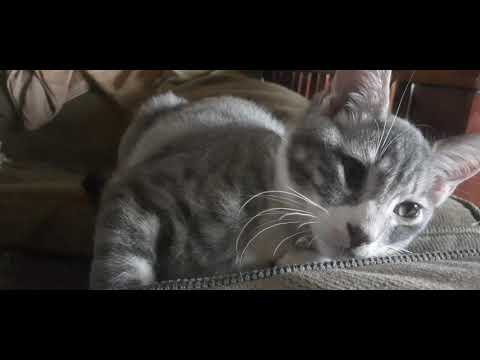 Heart chakra Opening time.   ❤🧡💛💚💙💜🤍