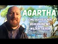 17 Agartha Eine Aufregende Begegnung Mit Wilden Tieren Von Mariana Stjerna