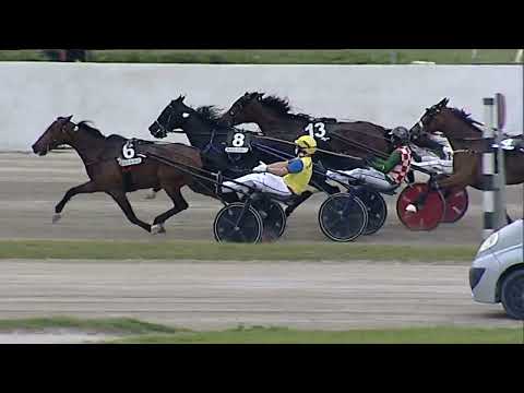 Napoli Trotto 30/04/2023 - 5ª corsa