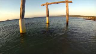 preview picture of video 'stingrays hamelin bay sunset'