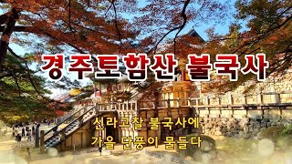 경주의 토함산 불국사는 신라 고찰로 가을이면 연지와 숲이 어우러져 경내의 단풍이 무척 아름답다.