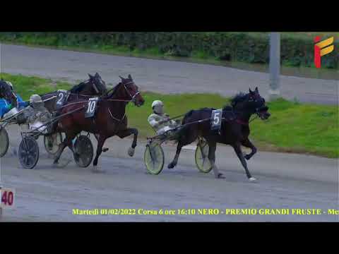 VI Corsa del 1 Febbraio 2022 - 5 Anni ed oltre - Metri 2000 - Gara Centrale