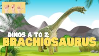 ASL Dinos A to Z: Brachiosaurus