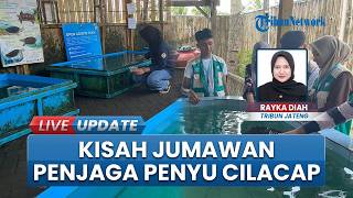 Kisah Jumawan, Berjibaku Selamatkan Penyu di Pantai Selatan Cilacap: Kini Jadi Gerakan Edukasi
