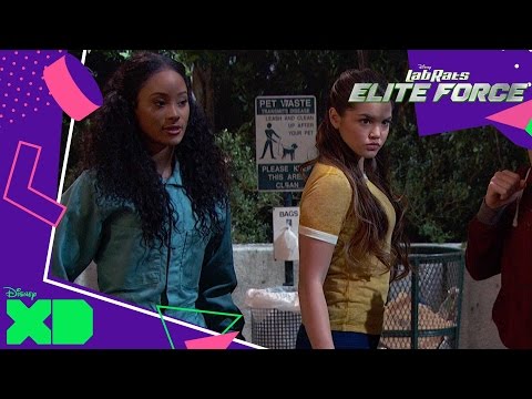 Lab Rats: Elite Force | The Superhero Hunt | Official Disney XD UK