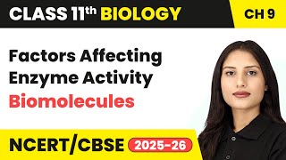 Factors Affecting Enzyme Activity - Biomolecules | Class 11 Biology Chapter 9 | CBSE 2024-25