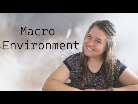 Macro Environment | Business studies