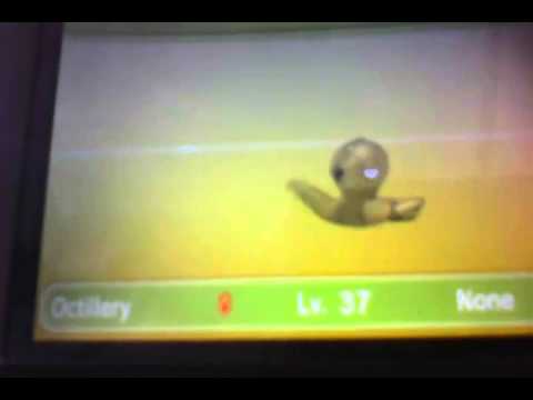 Wonder trade shiny occtilary