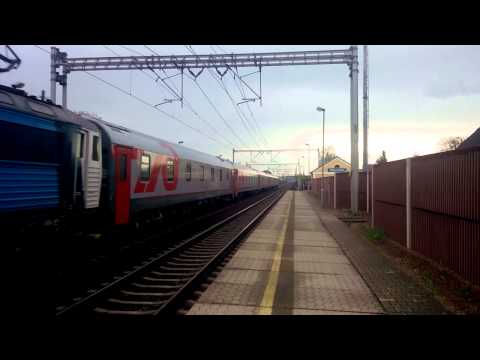 EN 405 včele 162.036