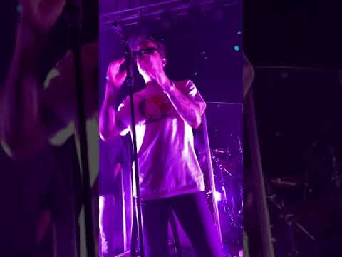 Лсп - Сучка 16.11.19 live gipsy