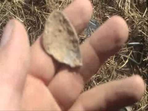 Moje Wykopki Odc. 110 (SE02 E10)