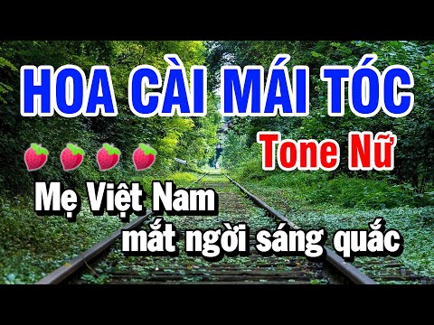 Hoa Cài Mái Tóc Karaoke Tone Nữ ( Xi Thứ Bm ) Huỳnh Lê