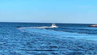 Iate a motor Kone-Jyr&auml; OY | Imagem 4 - Autoline