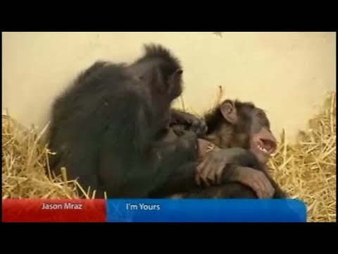 GLD Nieuws 25 februari 2009 - Nieuws