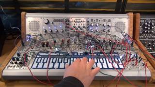 Video thumbnail for Qu-Bit Chord through intellijel Boombox by creativegallerysynth