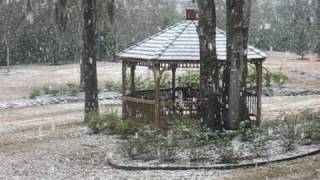 preview picture of video 'Snow in Dothan, AL 2/12/10'