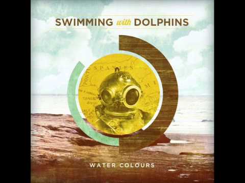 Swimming With Dolphins - 