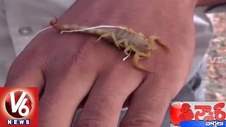 Scorpians Festival for Lord Vishnu at Kodumuru | Kurnool | Teenmaar News | V6News