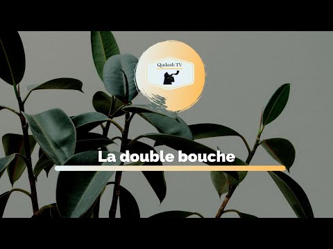 La double bouche