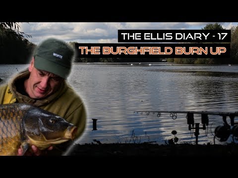 THE ELLIS DIARY - THE BURGHFIELD BURN UP!