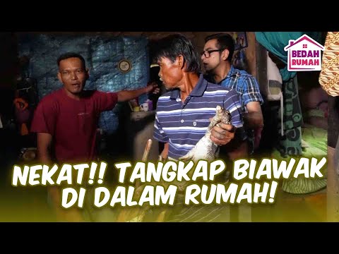 GEMPAR! Biawak Tiba-Tiba Masuk Rumah Proses Penangkapannya Bikin Tegang! | BEDAH RUMAH EPS 116 (3/6)