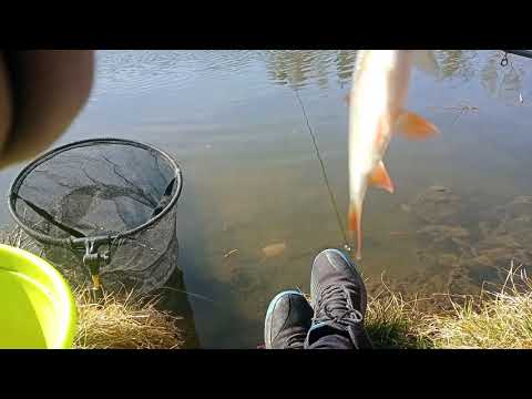 Spławik Feeder Łączki Marzec 2022