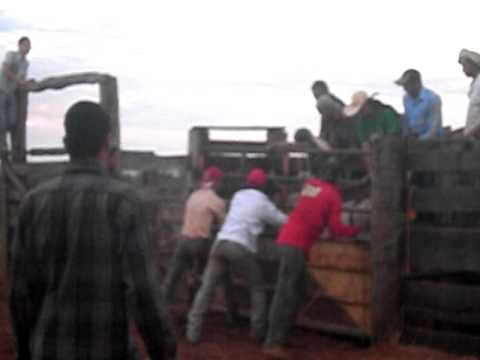 Elton barbosa x Amigo da onça