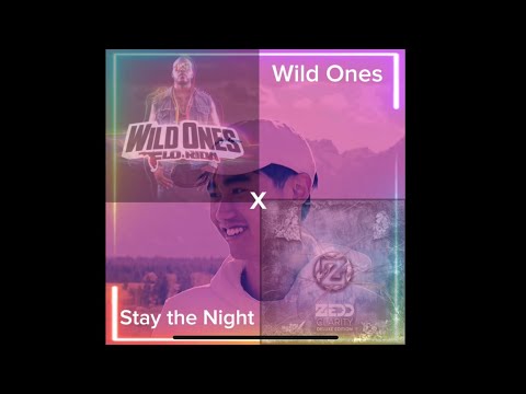 Wild Ones x Stay The Night (Swangky Mashup)