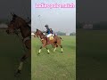 Ladies Polo Match At Lahore Polo Club Polo Pakistan Iran UK Australia