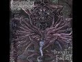 Divine Empire - Self Inflicted