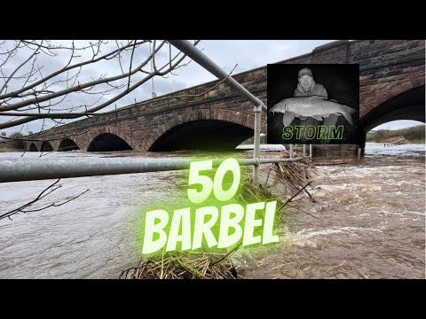 Storm Franklin the Aftermath - 50 River Ribble Barbel Achieved
