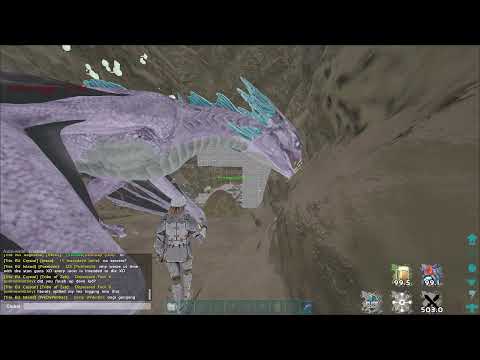 Don't Build Double Bear Ark Unofficial PvP