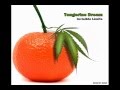 Tangerine Dream - Invisible Limits