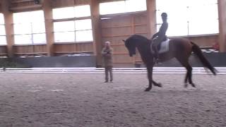 Don Juan de Hus, meilleur père 2018, Soliman pas loin derrière