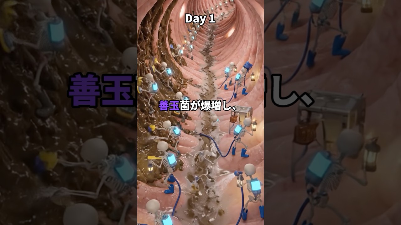 毎日ナッツを20g食べ続けるとどうなるのか？