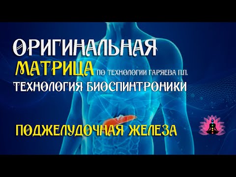 Поджелудочная железа ⚠️ Оригинальная матрица по технологии Гаряева П П ☀️ SoftRadio ru
