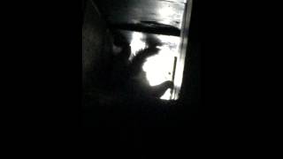 preview picture of video 'Raccoon stuck in chimney in Weston Ct. 06883'
